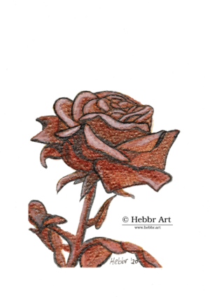 Bronzen roos, inkt op papier, 10,5 x 14,8 cm