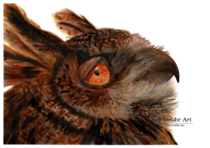 Uil, acryl inkt op 300 grams glad waterverfpapier, 42x29,7 cm Uil, inkt op papier, 42x29,7 cm