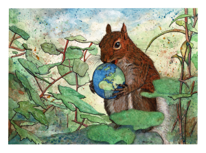 Squirl!, Eekhoorn, 24 x 32 cm Eekhoorn